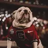 bryanmassey82 - @bryanmassey82 - TikTok