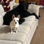 Bryan K. Mattson - @bryank.mattson - Instagram