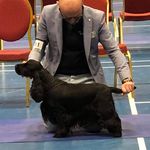 Bryan McCabe-Bell - @bryanmccabebell - Instagram