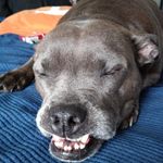 bryan mccann - @bryanmccann17 - Instagram