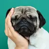 Bryan McCartney - @bryan.mccartney6 - TikTok