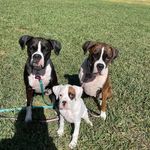 Bryan McCartney - @bryanmccartney1 - Instagram