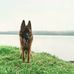 Bryan McCrory - Facebook