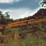 B.o.m - @bryan_mcduffie44 - Instagram