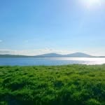 Brian McKeon - @bmck_limerick - Instagram