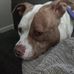 Bryan McNulty - Facebook