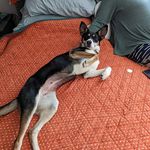 Bryan McNutt - @mcnuttmcawesome - Instagram
