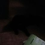 Bryan Melton - @bryan.melton.73 - Instagram