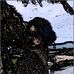Bryan Melton - Facebook