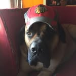 Brian Mendenhall - @bgplyr8 - Instagram