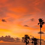 Brian Mendenhall - @brian.0328 - Instagram
