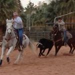 Bryan Meyer - @bryanmeyer9798 - Instagram