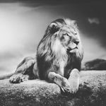 Bryan Michaels - @01mansa_musa01 - Instagram
