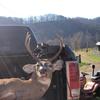 Bryant Smallwood - @deer_hunters_ - TikTok