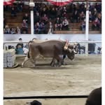 Bryan Mollison - @bryanmollison - Instagram