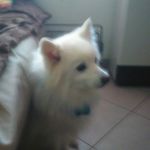 Bryan Moreau - @bryan.moreau.5817 - Instagram