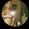 Bryan Moreno - @bryan.moreno314 - TikTok
