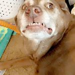Bryan Morrell - @bryan.morrell.167 - Instagram