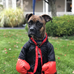 Brian Munro - Facebook