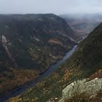 BryanMunro - @bryanmunro5005 - Instagram