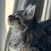 Bryan_latinmusic - @bryan_latinmusic - TikTok