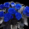 karan_Somani - @bryannabb - TikTok
