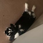 Bryan Naranjo - @nyc.bored1418 - Instagram