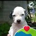 Bryan Naranjo - Facebook