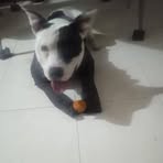 Bryan Nava - Facebook
