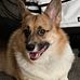 Bryan Needham - Facebook