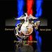 Bryan Nell - Facebook