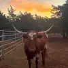 bryannelms2 - @bryannelms2 - TikTok