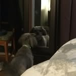 Bryan Neubauer - @chewchacabra - Instagram
