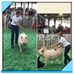 Brian Neuberger - Facebook