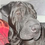 Bryan Neumann - @bryanneumann15012010 - Instagram