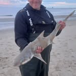 Brian Newby - @newbz1911 - Instagram