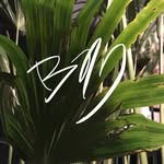 Brian Newby Decor - @briannewbydecor - Instagram