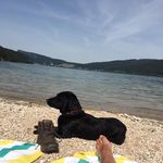 Bryan Newell - @bjnmancave - Instagram