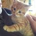 Bryan Ngo - Facebook