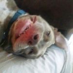 Brian Nickerson - @bunnyuncle - Instagram