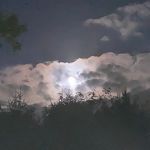 Brian Nickles - @nickles.brian - Instagram
