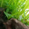 Bryan Nicolas - @bryan.nicolas938 - TikTok