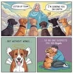 Brian Nigro - @nigro.brian - Instagram