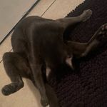 Bryan Nolasco - @bryan____1016 - Instagram