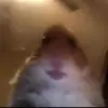 Bryan Nolasco - @bryannolasco27 - TikTok