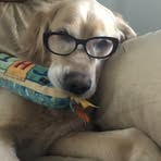 Bryan Nowak - Facebook