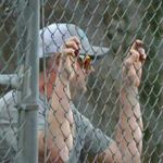 Bryan Ogle - @ogle99 - Instagram