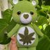 Bryan Pacheco - Facebook