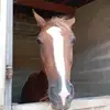 Bryan Paris - @bryan.paris6 - TikTok