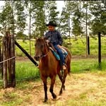 Bryan Passarelli - @bryanpassarelli13 - Instagram
